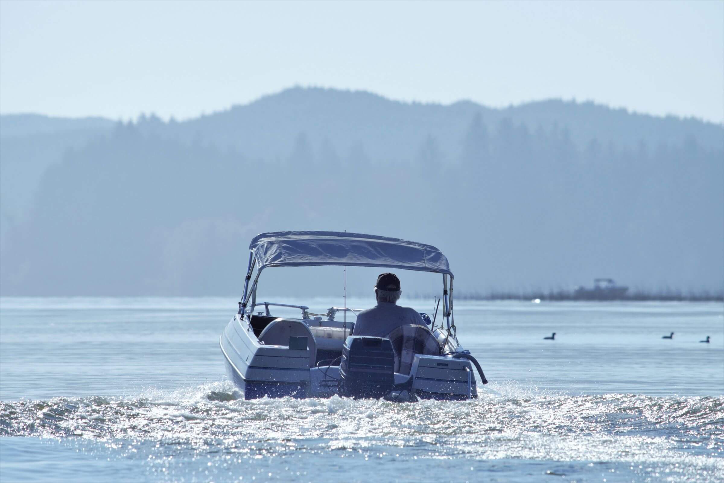 A person steers a small motorboat on a calm lake. The boat creates a gentle wake as it moves forward. Hills covered with trees are visible in the background under a clear sky. Ducks can be seen swimming in the distance.